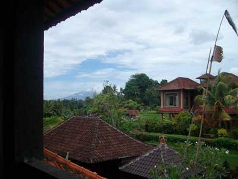 Bali Moon Guest House Ubud  Ngoại thất bức ảnh